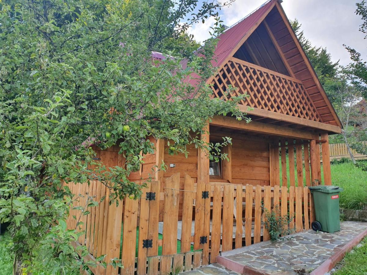 Трембіта Rakhiv Exterior foto